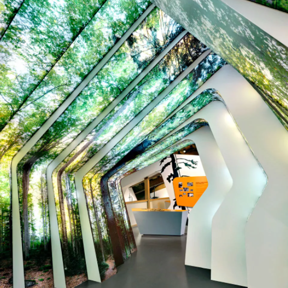 Flexible LED Panel for Video Wall - BloomLED Display + Lighting
